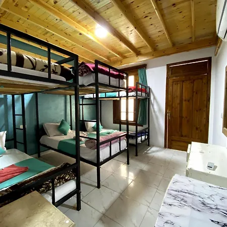 Octopus Hotel