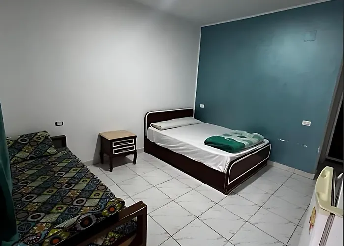 Octopus 3*